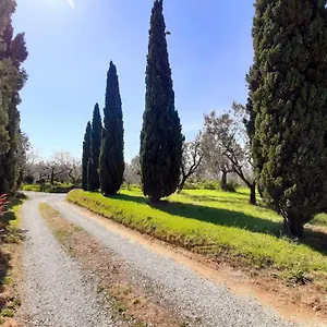  Ferienhaus Il Palagio